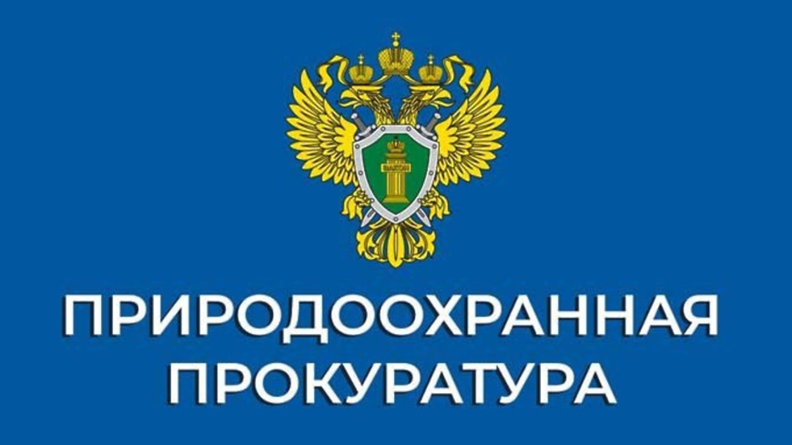 Красноярская природоохранная прокуратура информирует.