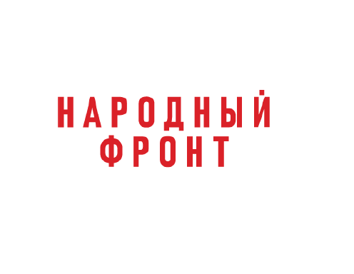 Электронный опрос на портале «Общероссийский народный фронт».