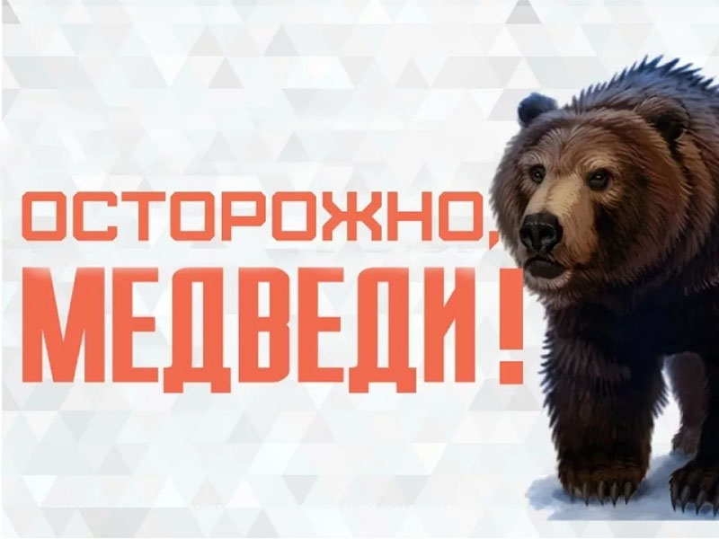 ВНИМАНИЕ МЕДВЕДИ!.