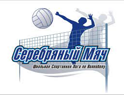 Краевые соревнования по волейболу «Серебряный мяч». Краевые соревнования по волейболу «Серебряный мяч».