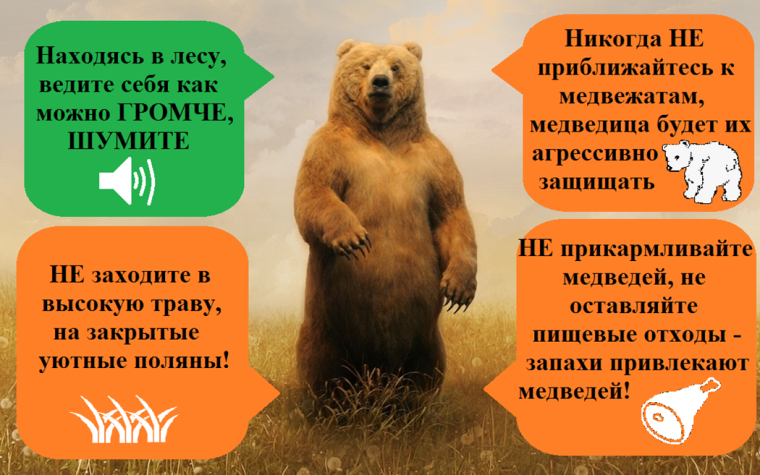 Памятка о поведении человека при встрече с медведем. Памятка о поведении человека при встрече с медведем.